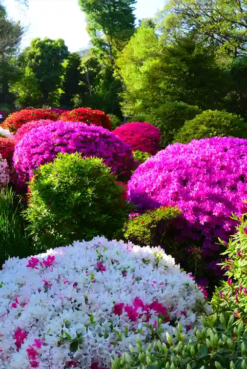 根津神社(東京都)