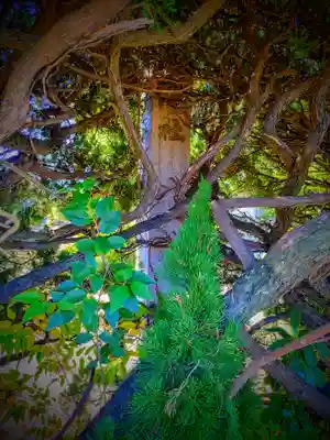 八龍社（稲島）のその他建物