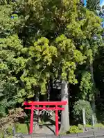 須山浅間神社(静岡県)
