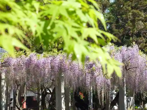 三大神社のその他建物