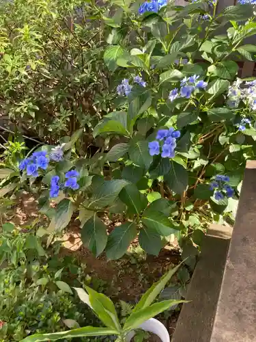 経王寺(東京都)