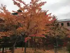 札幌神社(北海道)