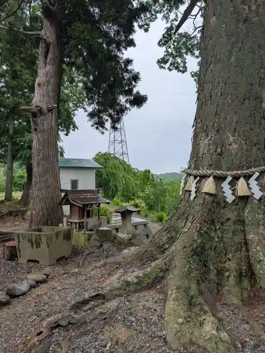 阿久津「田村神社」(郡山市阿久津町)旧社名:伊豆箱根三嶋三社(福島県)