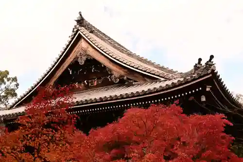 光明寺（粟生光明寺）(京都府)