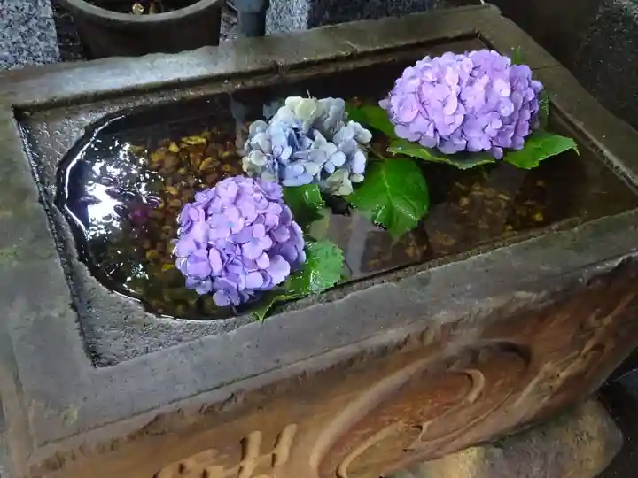 菊名神社の手水舎