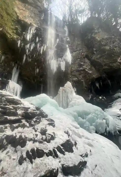 上尾御嶽神社の自然