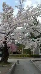 開成山大神宮の周辺