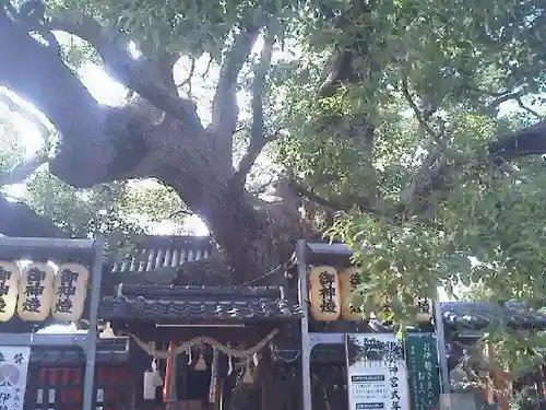 三島神社の自然