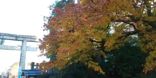 敷地神社（わら天神宮）のその他建物