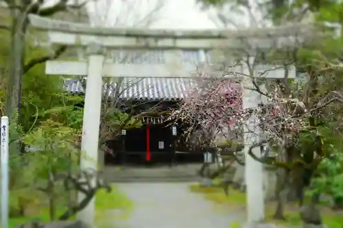 長浜八幡宮の鳥居