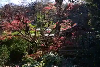 願成就院(静岡県)