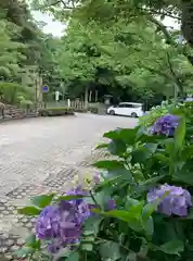 足羽神社の建物その他