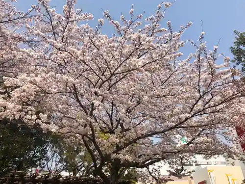 おりひめ神社の自然