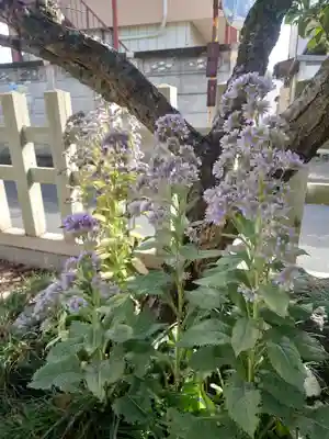 宮地天満宮(埼玉県)
