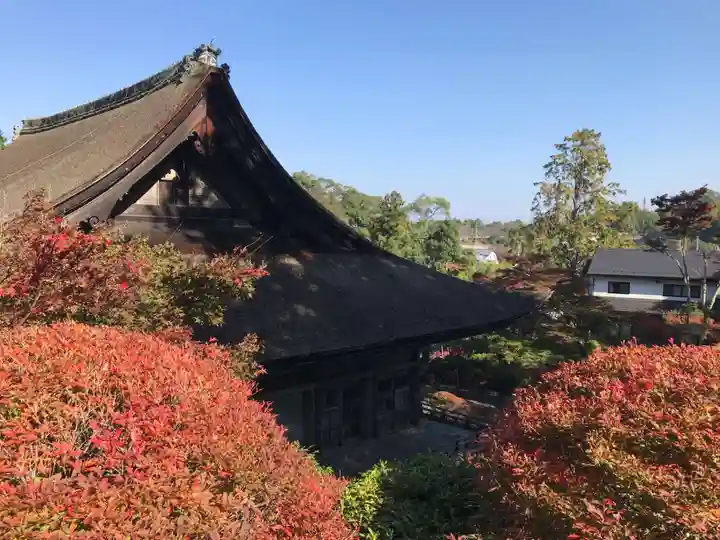 常樂寺(滋賀県)