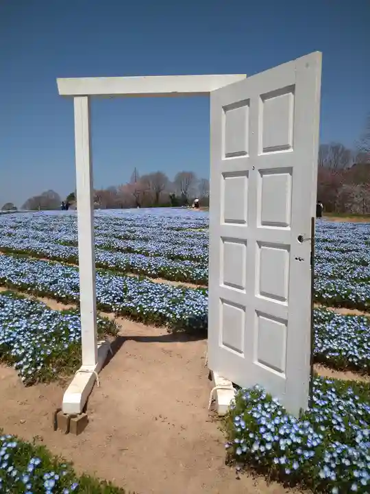 巳徳神社の周辺