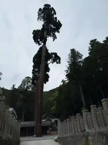 安志加茂神社の{uncategorized: "未分類", other: "その他", undefined: "問題あり", building: "その他建物", grave: "お墓", sacred_gate: "鳥居", guardian: "狛犬", statue: "像", buddha: "仏像", history: "歴史", nature: "自然", garden: "庭園", animal: "動物", pagoda: "塔", temizu: "手水舎", mountain_gate: "山門・神門", sanctuary: "本殿・本堂", subordinate: "末社・摂社", art: "芸術", scenery: "景色", jizo: "地蔵", ema: "絵馬", goshuin: "御朱印", omikuji: "おみくじ", items: "授与品その他", amulet: "お守り", goshuincho: "御朱印帳", eats: "食事", festival: "お祭り", votive_dance: "神楽", shichigosan: "七五三参", wedding: "結婚式", experience: "体験その他", initially: "初詣", around: "周辺", anti_infection: "感染症対策"}