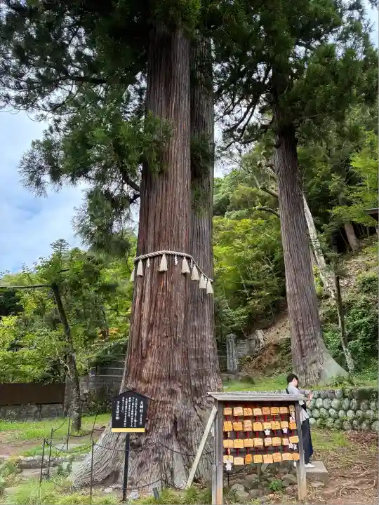 日枝神社(静岡県)
