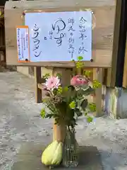 須山浅間神社(静岡県)