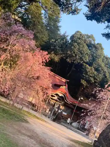 徳佐八幡宮の建物その他