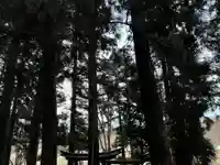 大宮温泉神社(栃木県)