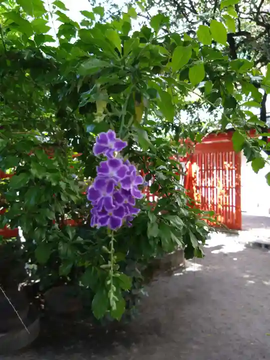 水鏡天満宮の自然