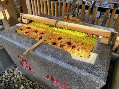 高円寺氷川神社の手水舎