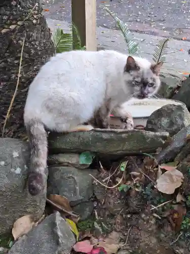 鵜戸神社(大御神社境内社)(宮崎県)