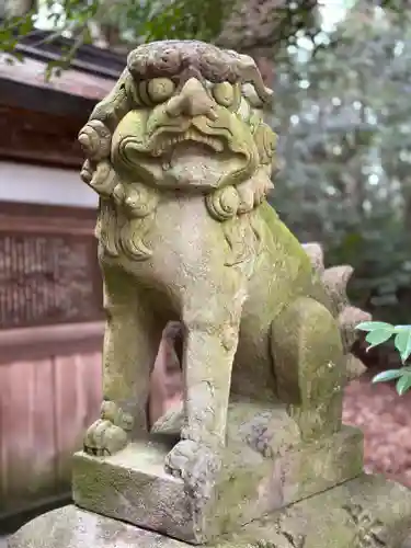 往馬坐伊古麻都比古神社の狛犬