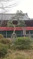 清水観音堂の庭園