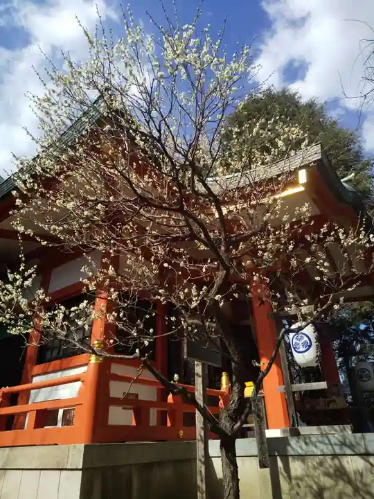 芝東照宮の自然