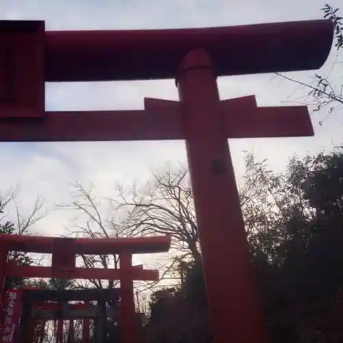 岐阜稲荷山本社の鳥居