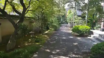 東福寺の{uncategorized: "未分類", other: "その他", undefined: "問題あり", building: "その他建物", grave: "お墓", sacred_gate: "鳥居", guardian: "狛犬", statue: "像", buddha: "仏像", history: "歴史", nature: "自然", garden: "庭園", animal: "動物", pagoda: "塔", temizu: "手水舎", mountain_gate: "山門・神門", sanctuary: "本殿・本堂", subordinate: "末社・摂社", art: "芸術", scenery: "景色", jizo: "地蔵", ema: "絵馬", goshuin: "御朱印", omikuji: "おみくじ", items: "授与品その他", amulet: "お守り", goshuincho: "御朱印帳", eats: "食事", festival: "お祭り", votive_dance: "神楽", shichigosan: "七五三参", wedding: "結婚式", experience: "体験その他", initially: "初詣", around: "周辺", anti_infection: "感染症対策"}