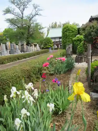 真光寺(千葉県)
