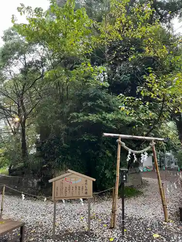 玉前神社(千葉県)