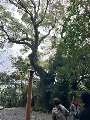 月夜見宮（豊受大神宮別宮）の{uncategorized: "未分類", other: "その他", undefined: "問題あり", building: "その他建物", grave: "お墓", sacred_gate: "鳥居", guardian: "狛犬", statue: "像", buddha: "仏像", history: "歴史", nature: "自然", garden: "庭園", animal: "動物", pagoda: "塔", temizu: "手水舎", mountain_gate: "山門・神門", sanctuary: "本殿・本堂", subordinate: "末社・摂社", art: "芸術", scenery: "景色", jizo: "地蔵", ema: "絵馬", goshuin: "御朱印", omikuji: "おみくじ", items: "授与品その他", amulet: "お守り", goshuincho: "御朱印帳", eats: "食事", festival: "お祭り", votive_dance: "神楽", shichigosan: "七五三参", wedding: "結婚式", experience: "体験その他", initially: "初詣", around: "周辺", anti_infection: "感染症対策"}