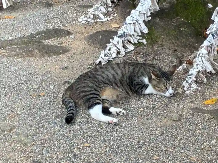 王子神社(徳島県)