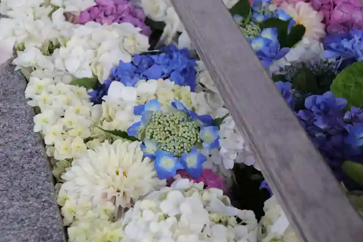 豊景神社の手水舎