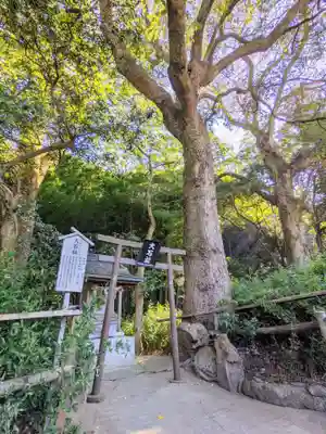 石鎚神社 口之宮 本社(愛媛県)