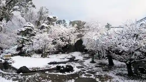 北野天満宮の庭園