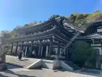 長谷寺(神奈川県)