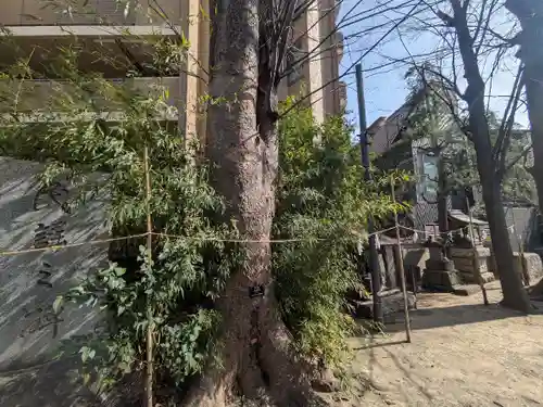 亀有香取神社(東京都)