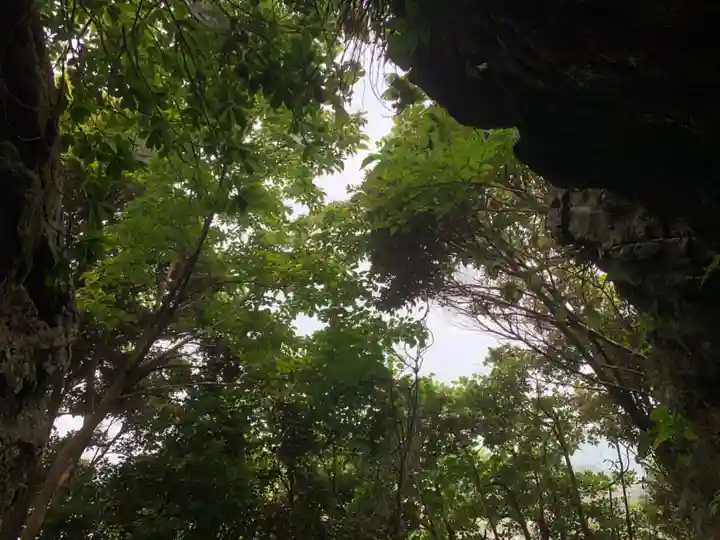 神社(名称不明)の自然