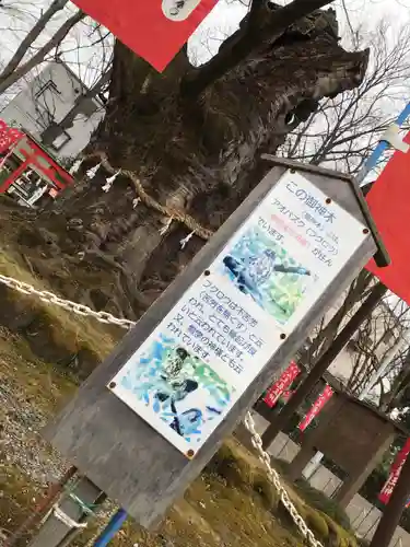 秩父今宮神社(埼玉県)