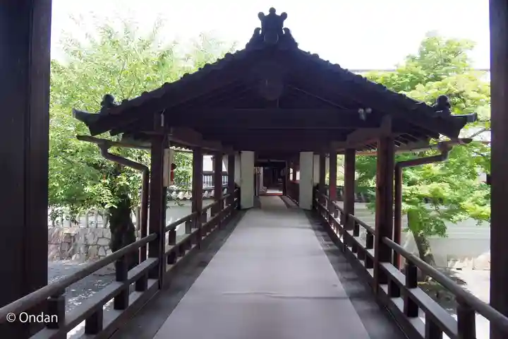 妙顯寺(妙顕寺)(京都府)