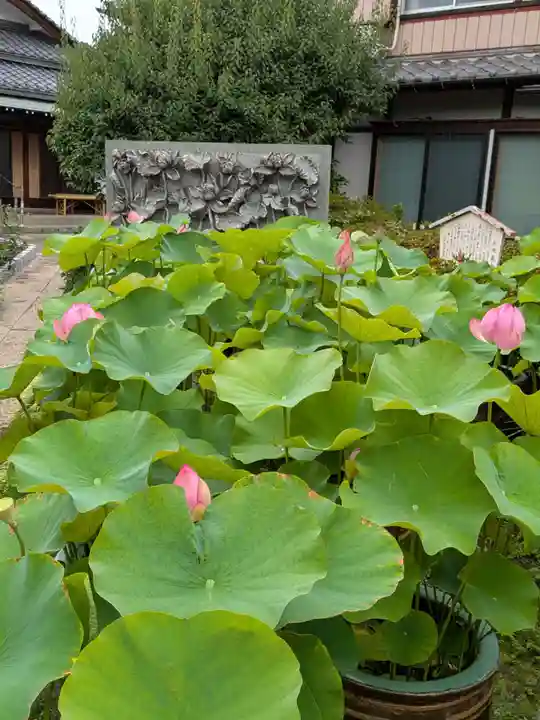 長善寺(東京都)
