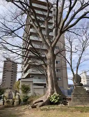 愛宕神社(福島県)