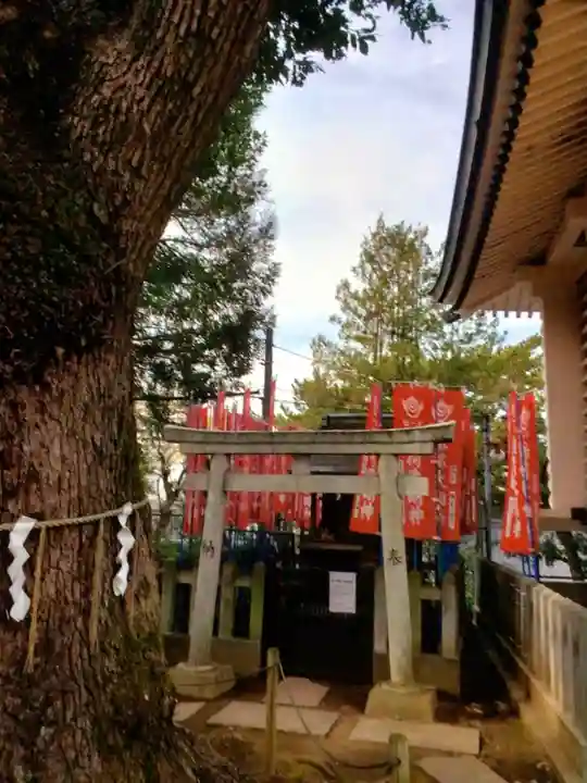 諏訪神社(東京都)