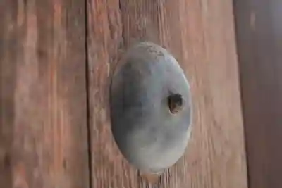 東寺（教王護国寺）のその他建物