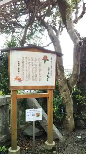 高尾山穂見神社の歴史